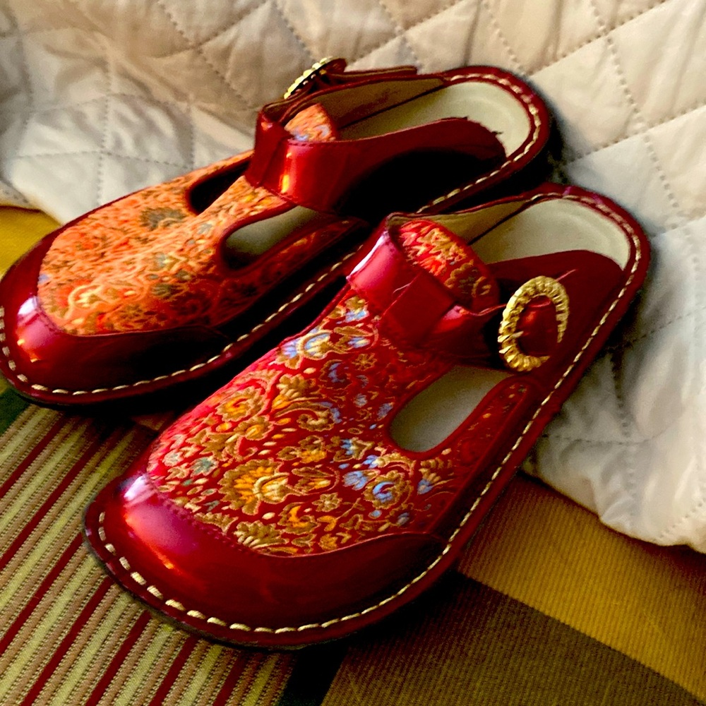 Algeria mules